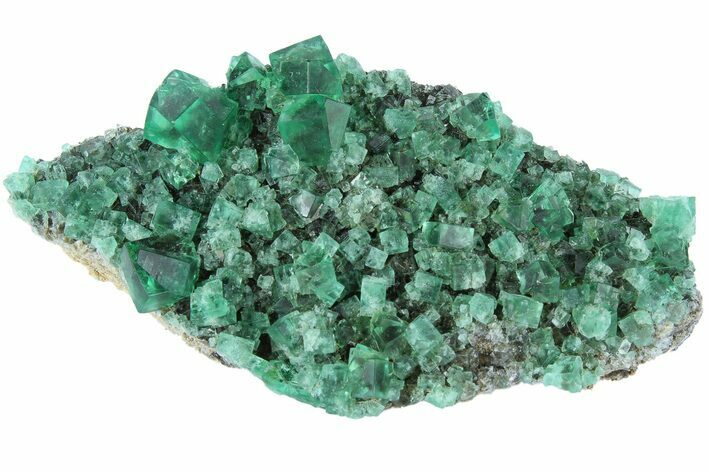 Fluorescent Green Fluorite Cluster - Rogerley Mine, England #184620